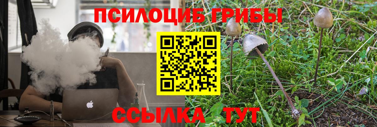 Татарск  Галлюциногенные грибы мицелий  Вход с VPN 