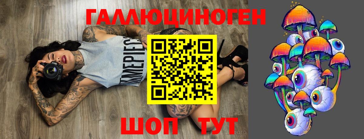 Галлюциногенные грибы Psilocybe Татарск